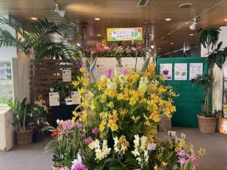 ねったいかんだより最新投稿写真