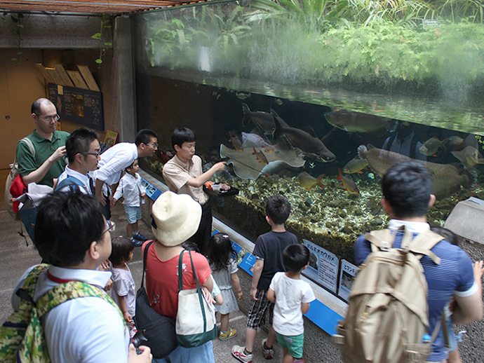 水族館のごはんのじかんの写真