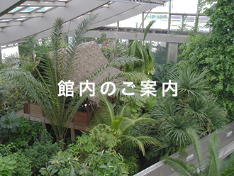 板橋区立 熱帯環境植物館