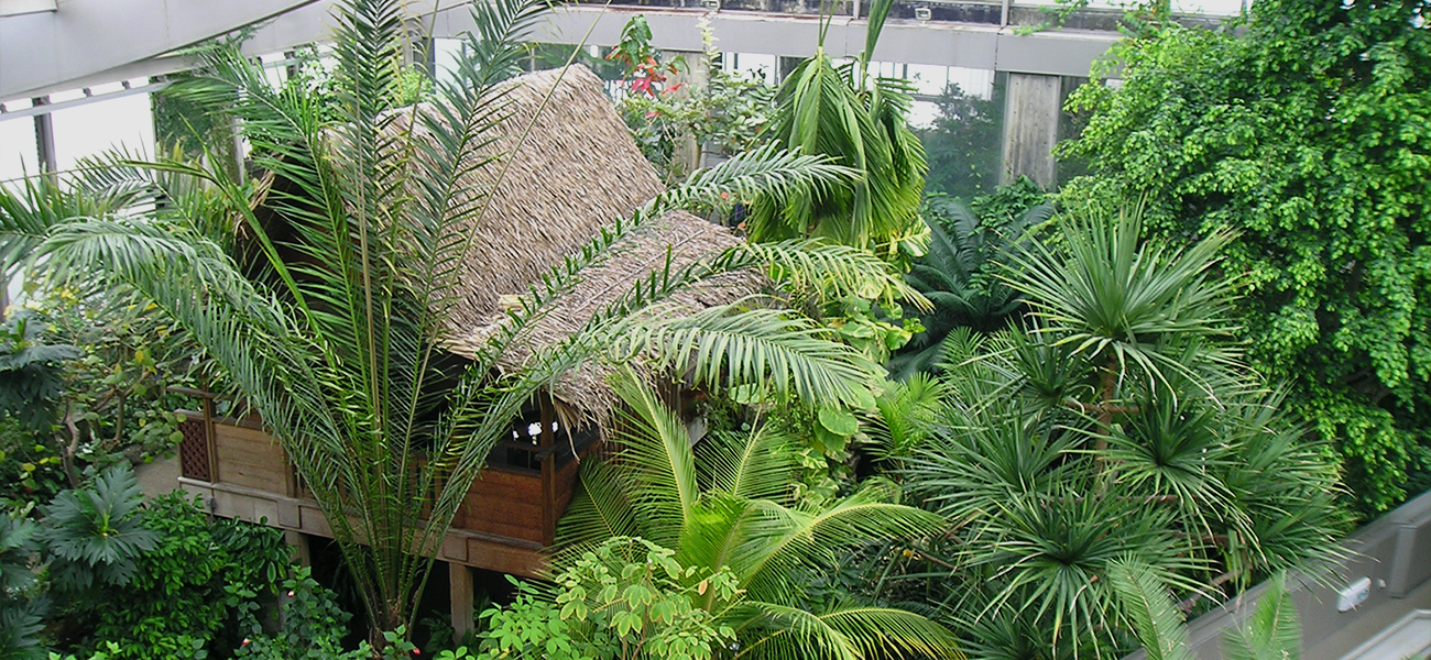 板橋区立 熱帯環境植物館