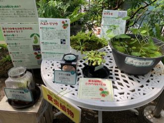 ねったいかんだより最新投稿写真