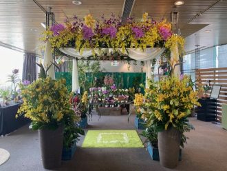 ねったいかんだより最新投稿写真