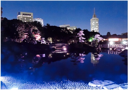 11月　見浜園公園部門　優秀賞「夜の見浜園」清水孝夫