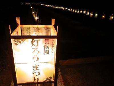 161118kouyou-lightup (12)