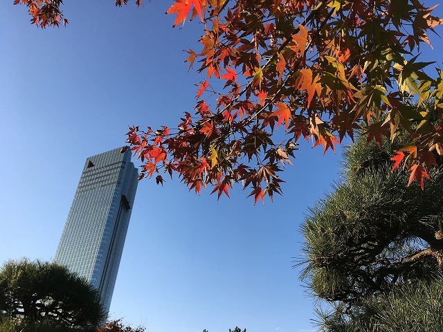 171112kisetsu-1