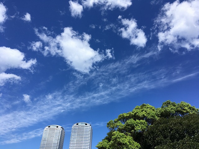 180817kisetsu-4