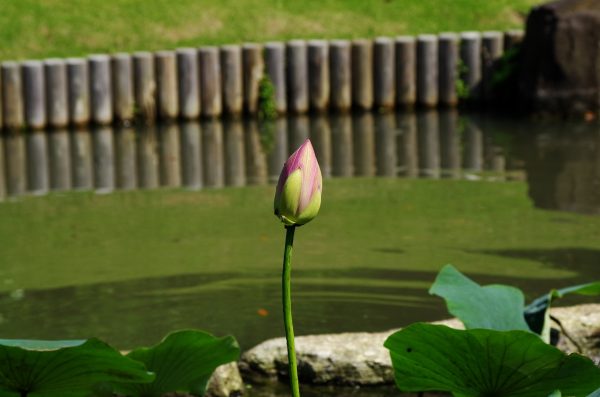 imgp1255