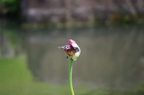 imgp1448