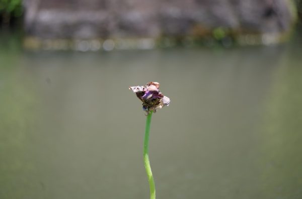 imgp1474