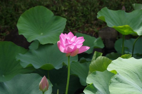 imgp1523