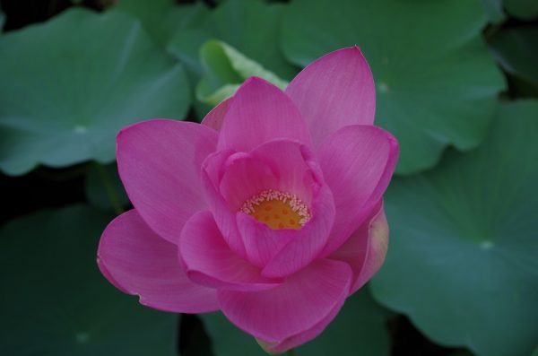 imgp1581