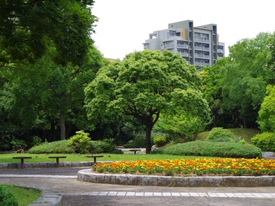 IMGP8063