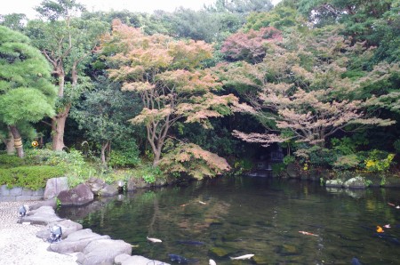 IMGP8617