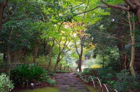 IMGP8620