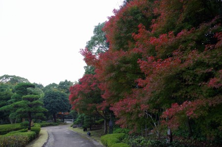 IMGP8621