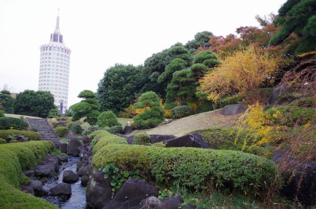 IMGP8624