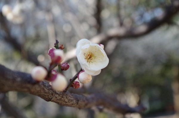 imgp8958