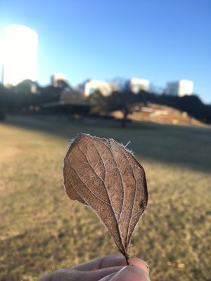 img_1714