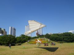 rimg0619