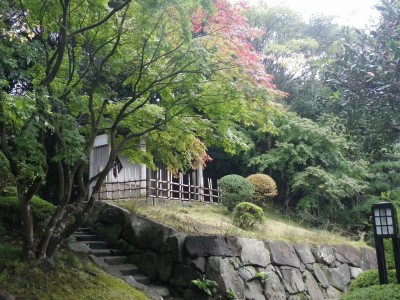 RIMG0885