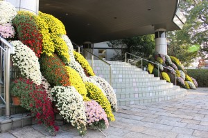 IMG_5786