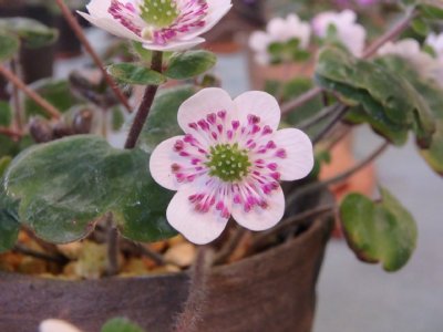 P3130051