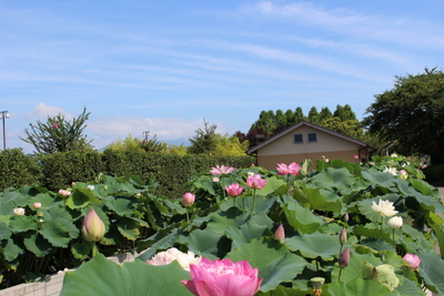 blog160720-2