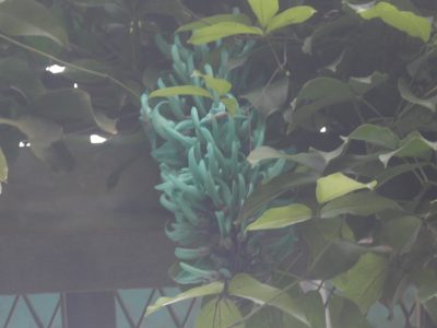 blog170317-3