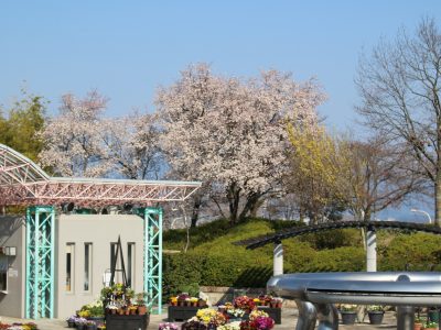 blog170404-3
