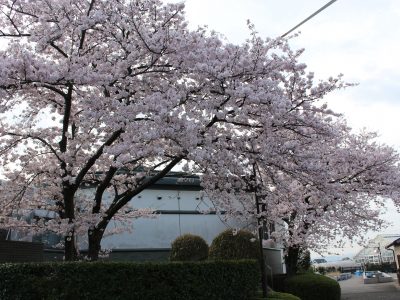 blog170410-1