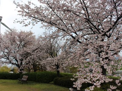 blog170410-2