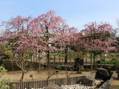 blog170410-3