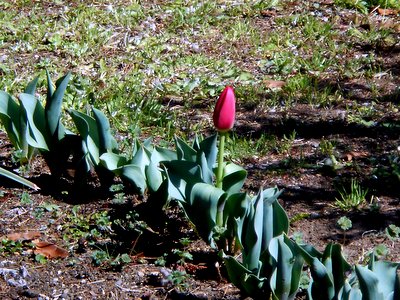 20160325_2