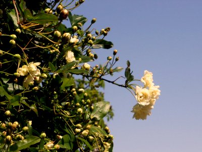 20160415_4