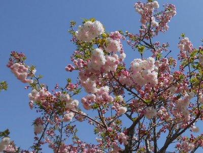 20160415_6