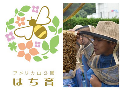 20160815hachiiku