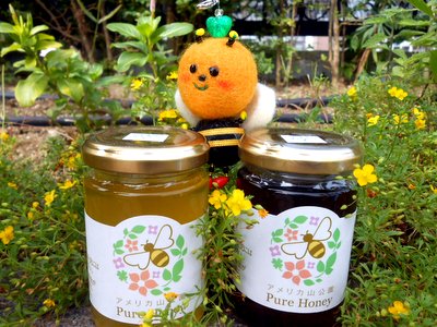 20161021honey2