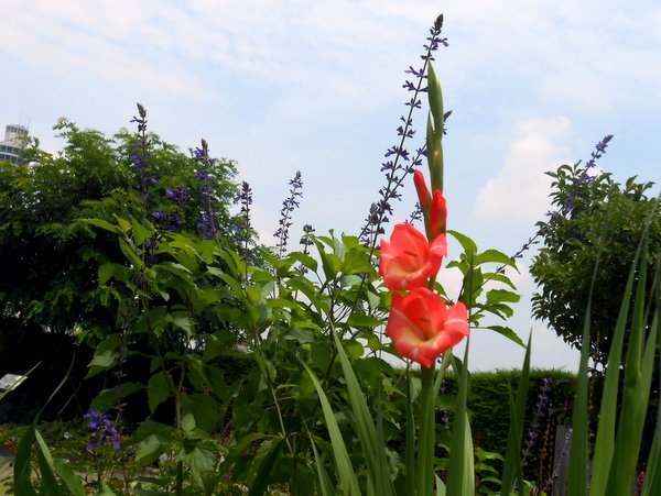 20180622_4