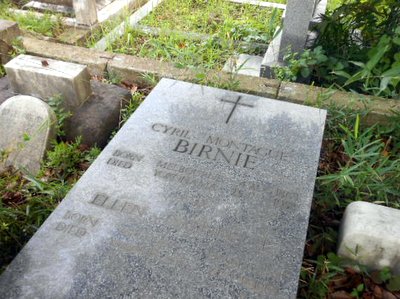 birnie04