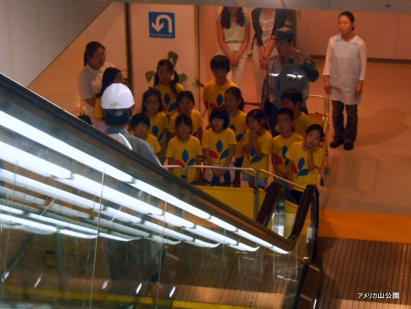 escalator03