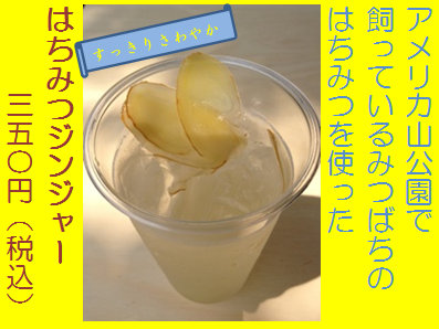 honeyginger