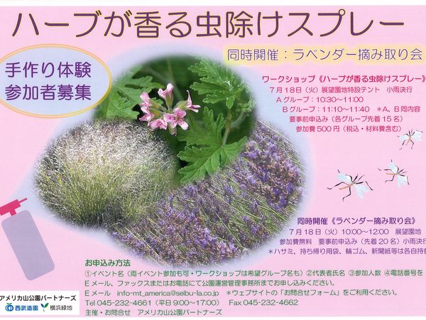 lavender2017