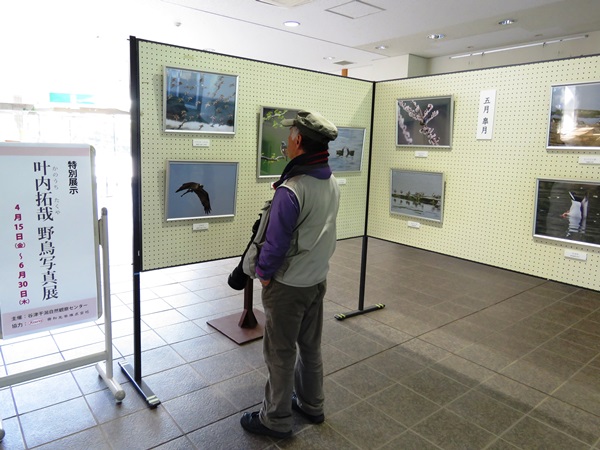 叶内拓哉野鳥写真展①IMG_3948