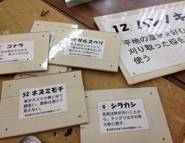 3img_6585_s