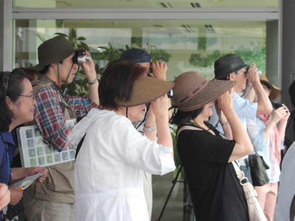 IMG_9629_600×450
