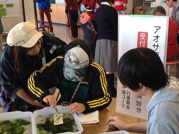 アオサイベントa