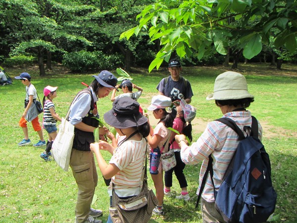 香澄公園①
