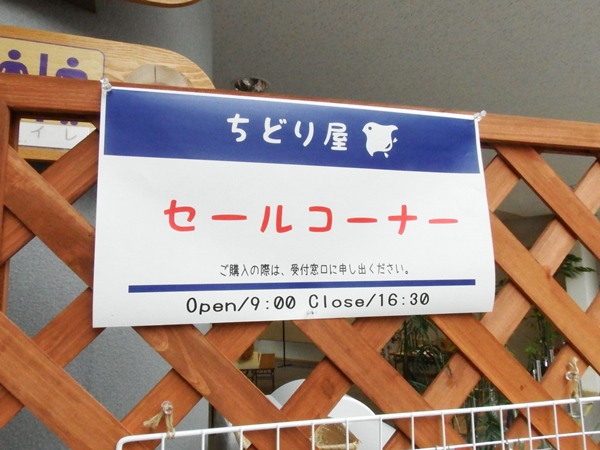 dscf8637