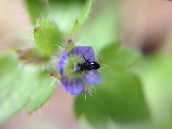 img_0065-s