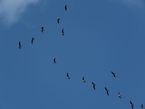 img_0067a
